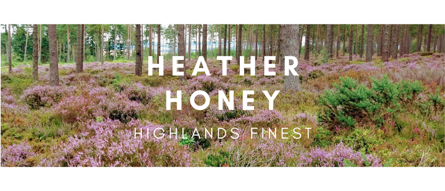 Unlock the Hidden Treasures of Scotland: A Journey into the World of Heather Honey