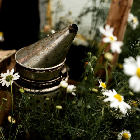 Beekeeping-family-tradition-since-1957 - Edinburgh Honey Co