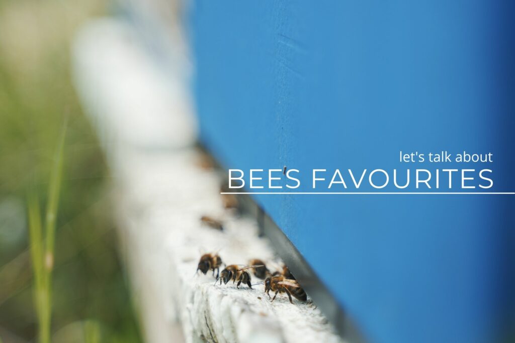 Let’s talk about Bees favourites