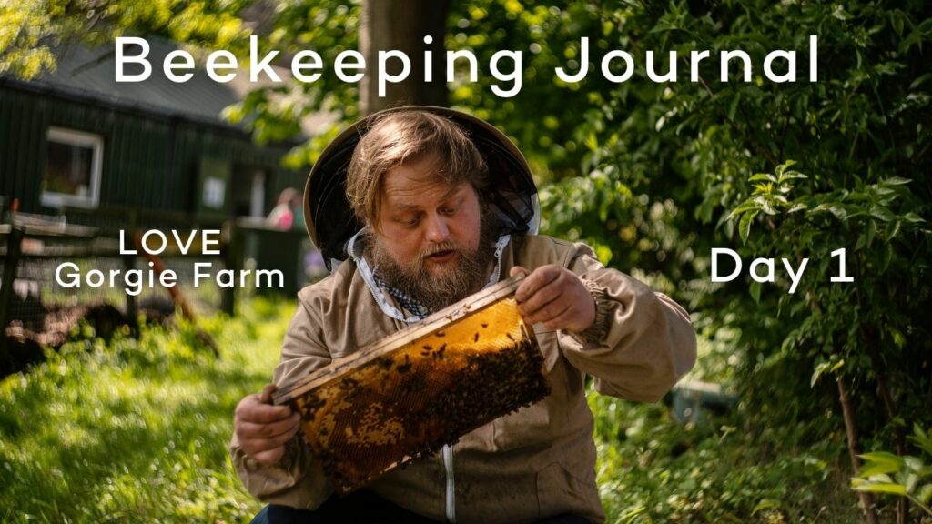 Beekeeping Journal – LOVE Gorgie Farm – Day 1