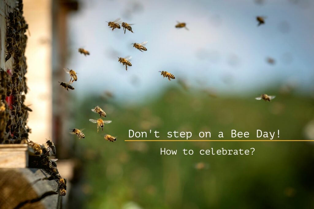 10th of July – Don’t Step on a Bee Day!
